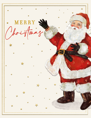 BOX REC Vintage Father Christmas Showcase