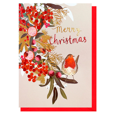 Merry Christmas Robin