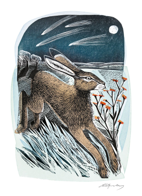 BOX REC Shooting Stars