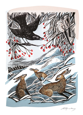 BOX REC Hares In Conversation