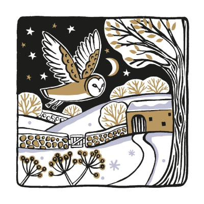 BOX SML SQ Country Owl