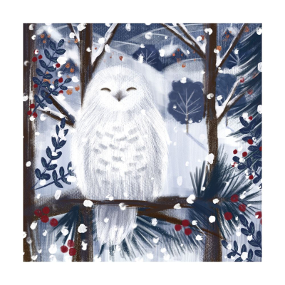 BOX SML SQ Snowy Owl