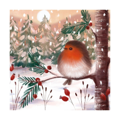 BOX SML SQ Fluffy Robin