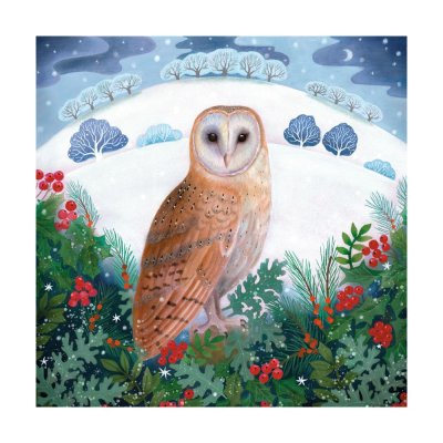 BOX SML SQ Winter Owl