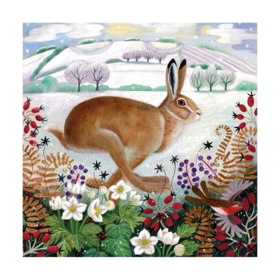 BOX SML SQ Winter Hare