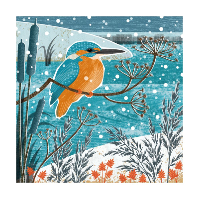 BOX SML SQ Winter Kingfisher