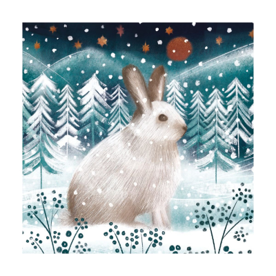 BOX SML SQ Arctic Hare