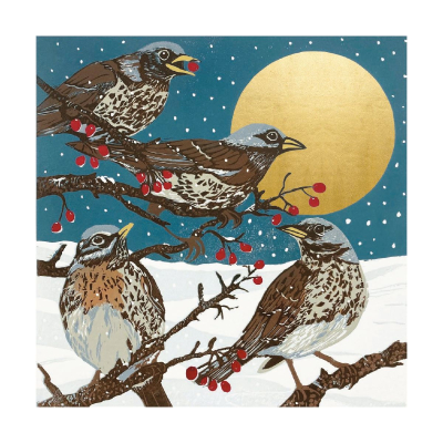 BOX SML SQ Winter Visitors