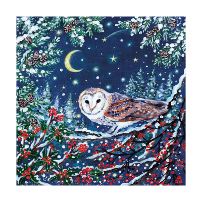 BOX SML SQ Barn Owl And Crescent Moon