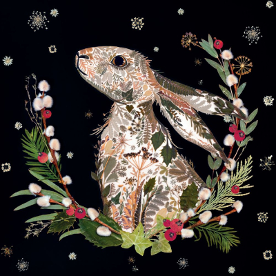 BOX SML SQ Winter Hare