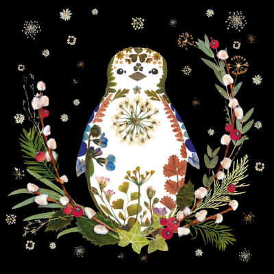 BOX SML SQ Little Penguin