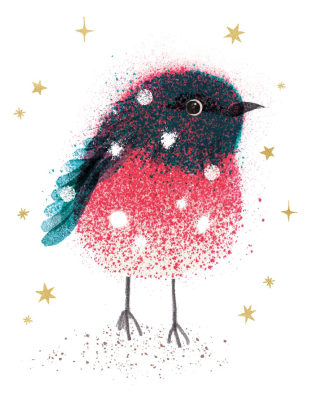 BOX REC Little Robin