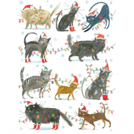 BOX REC Christmas Cats