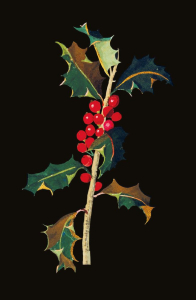 BOX REC Mary Delany Winter Foliage