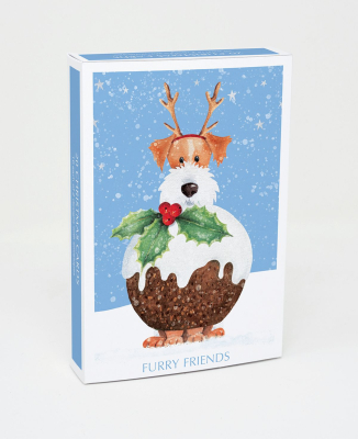 BOX REC Furry Friends