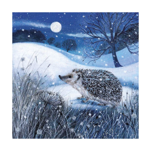 BOX SML SQ Dusk And Dawn