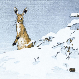 BOX SML SQ Winter Woodcuts