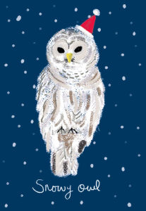 MINI BOX Festive Birds