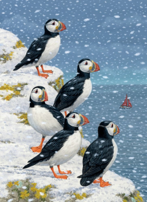 BOX REC Puffins In The Snow