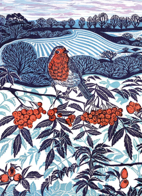 BOX REC Midwinter Robin