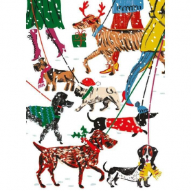 BOX REC Winter Walkies