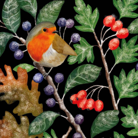 BOX SML SQ Robin And Frosty Berries
