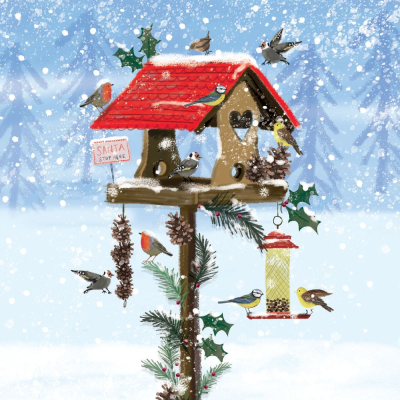 BOX SML SQ Festive Bird House