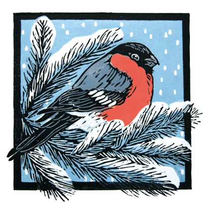 BOX SML SQ Bullfinch On Snowy Boughs