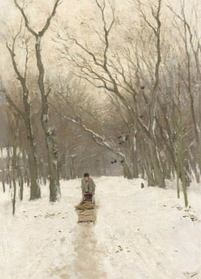 Winter In The Scheveningen Woods