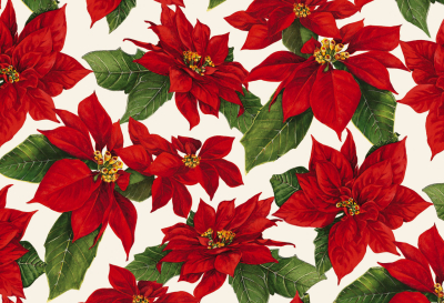 SHEET WRAP Poinsettia