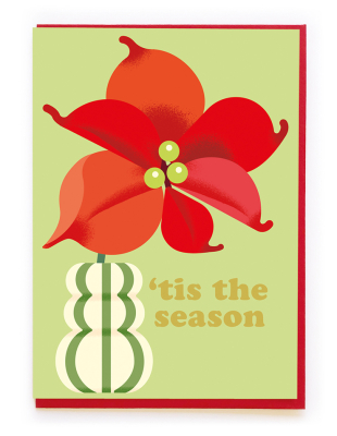 Poinsettia And Stripey Vase