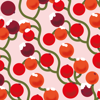 SHEET WRAP Winter Berries