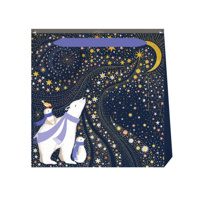 BAG SML Stargazing Navy