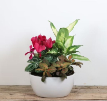 7" PLANTER, LANA CERAMIC