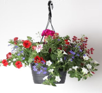 12" HB MIXED SPRING BASKET