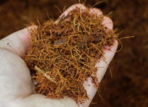 COCO COIR, COARSE