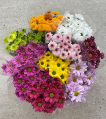 CHRYS, SPRAYMUM, BUNCH, NOVELTY, ASSORTED