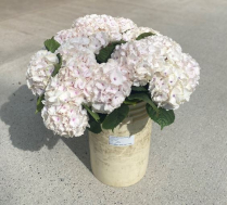HYDRANGEA, 60CM, MON AMOUR, PURPLE