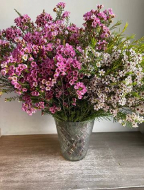 WAX FLOWER, BUNCH, ASSORTED (US)