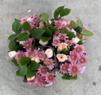 BOUQUET, 6/PAIL, CANADA DAY EH!