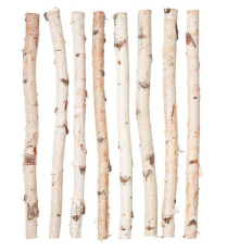 BIRCH POLE, 2' LONG