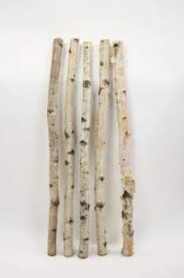BIRCH POLE, 3' LONG