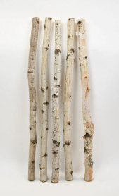 BIRCH POLE, 5' LONG