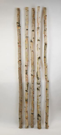 BIRCH POLE, 6' LONG