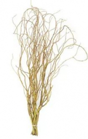 CURLY WILLOW, BUNCH, TIPS