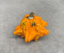 GOURDS, GIZMO