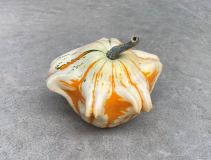 GOURDS, GIZMO