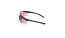 Vortex RangePoint Safety Glasses - Black/Rose - No Mirror