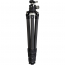 Vortex Radian Carbon Tripod Kit with Ball Head