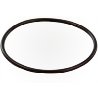 Pentair Sand Filter Valve Body O-Ring